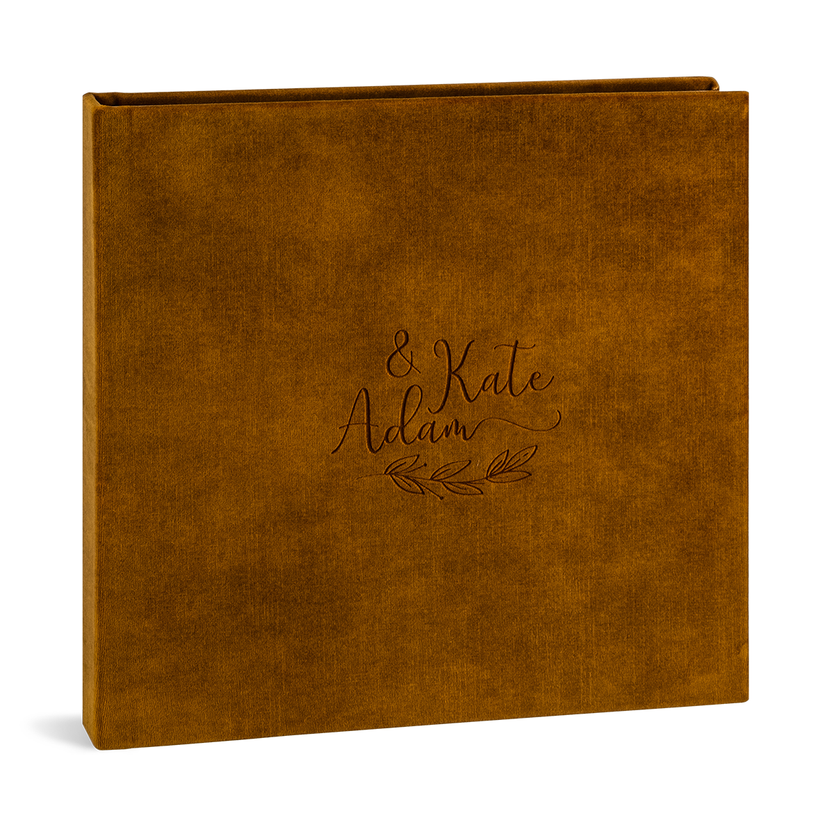 Collection Celebrate modèle Celebrate