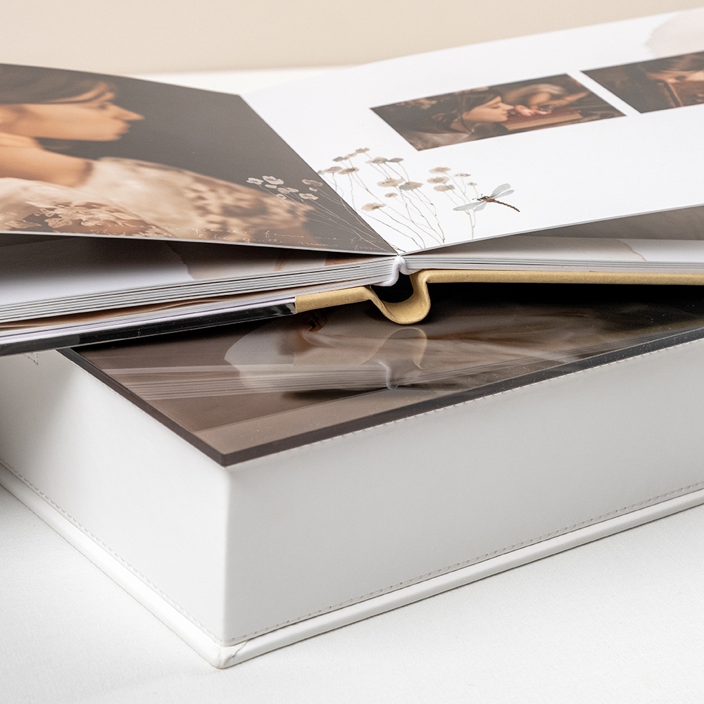 Acrylic Collection communions 4