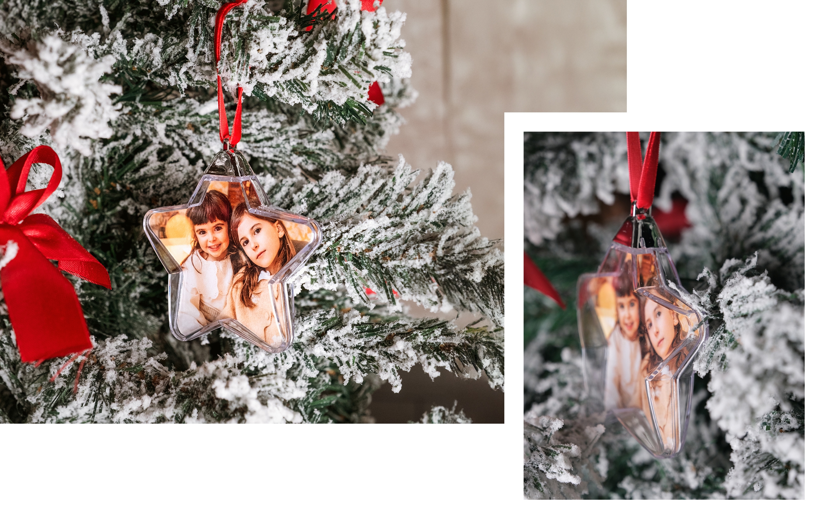 Étoile de Noël